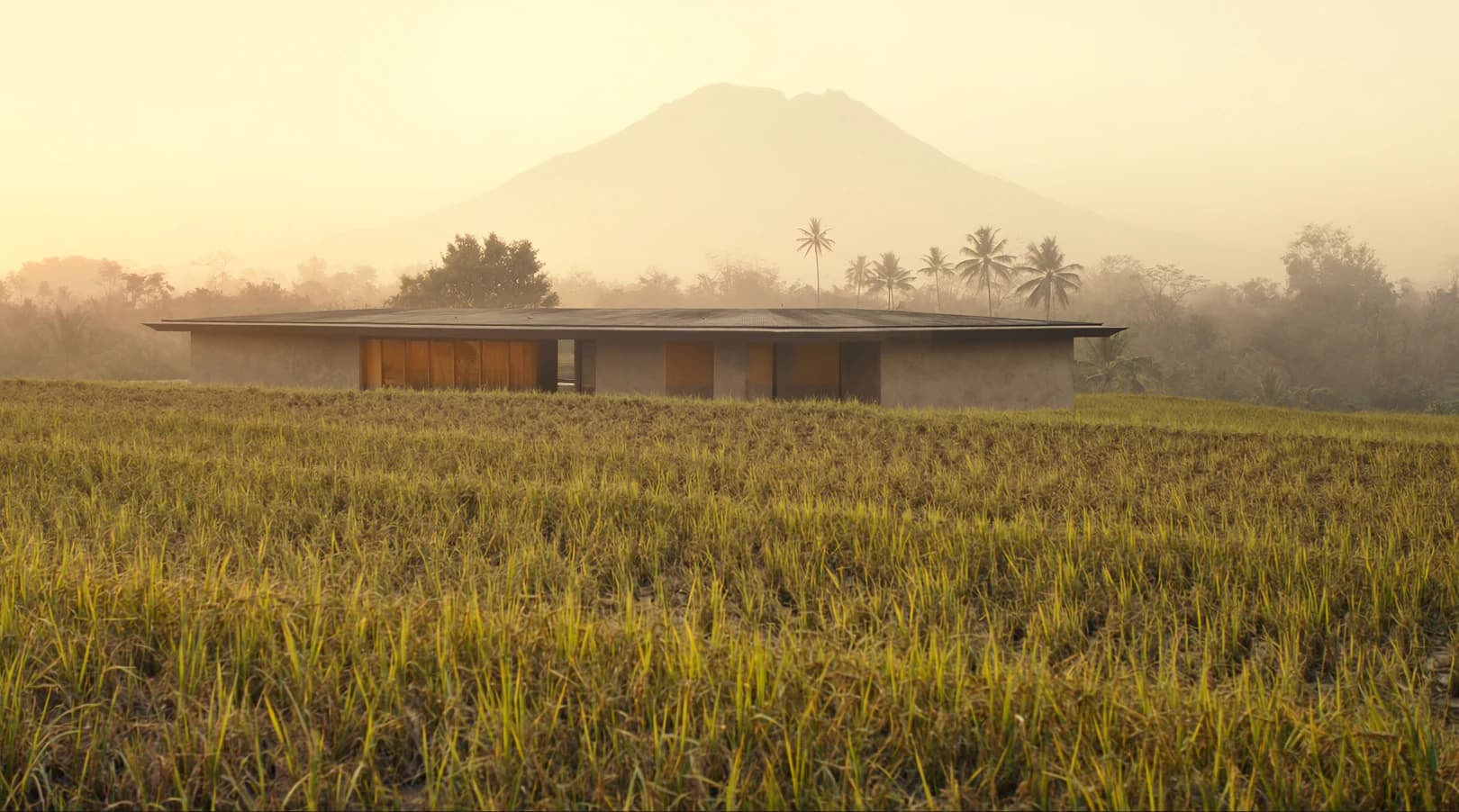 Rice fields at the end of the day, with a low house on the far side and a volcano behind the haze